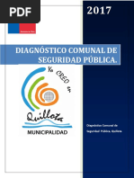 Diagnóstico Comunal SP 2017 (1)