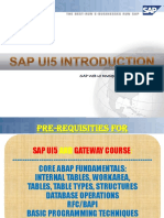 SAPUI5 Demo PDF
