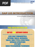 SAPUI5 Demo PDF