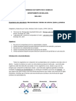Carbohidratos,lipidos y proteinas.doc