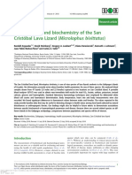 Haematology and biochemistry of the San Cristóbal Lava Lizard (Microlophus bivittatus)