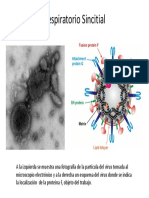 Virus Respiratorio Sincitial