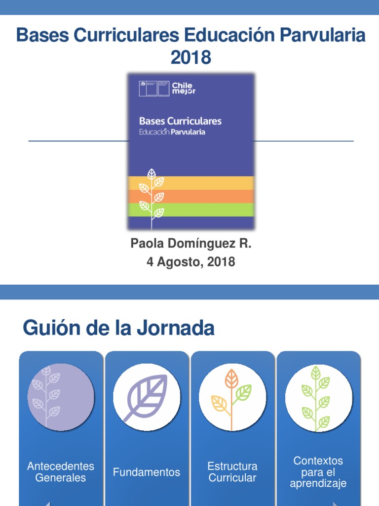 Fundamentos BCEP 2018 | PDF | Educación de la primera infancia | Evaluación