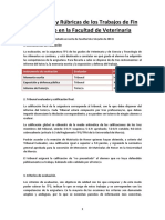 Evaluación y Rúbrica Del TFG Aprob JF 2-7-13