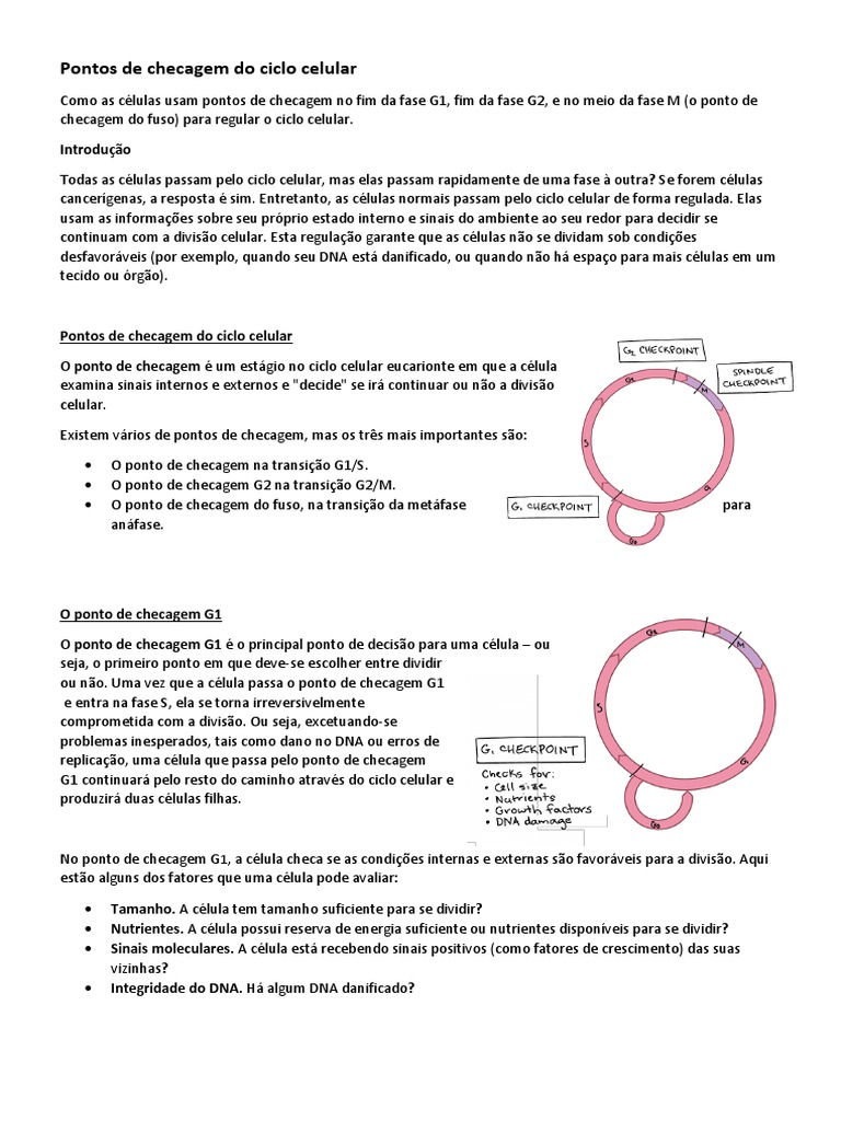 Pontos de Checagem do Ciclo Celular | PDF | Ciclo de célula | P53