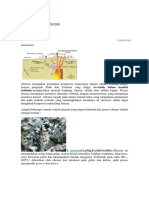 Mineral-Mineral Alterasi: Freelander