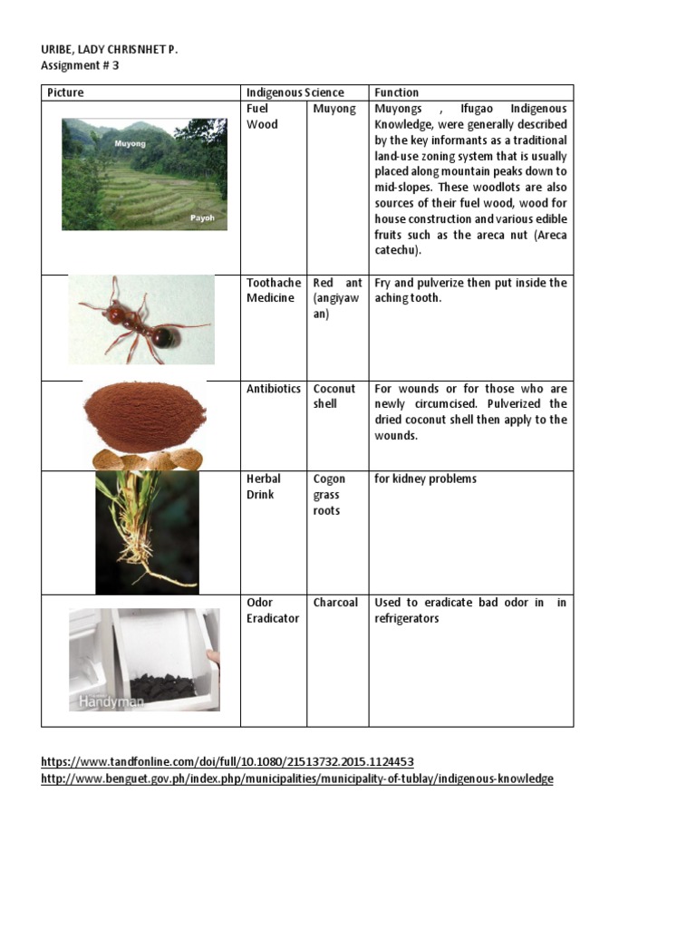 Assignment Philippines Science