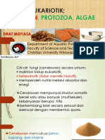 Bab 3 Protista Eukariotik Cendawan, Protozoa, Algae