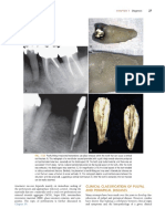 Aae Clinical Diagnosis PDF
