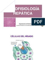 Histofisiologia Hepatica UNT