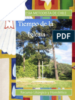 Iglesia Metodista de Chile: Recursos litúrgicos y homiléticos para el Tiempo Común