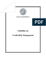 Guideline On Credit Risk Management