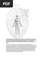 Os Sete Níveis Do Campo Áurico