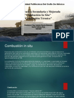 Combustion Insitu, Combustion Termica