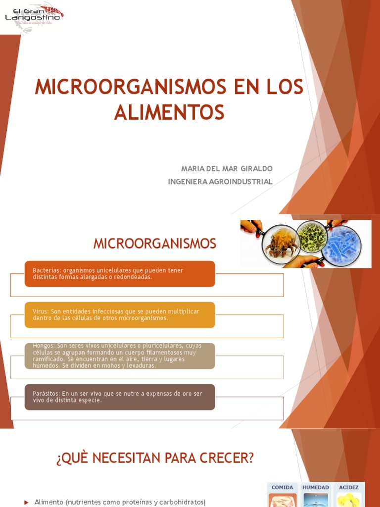 Microorganismos en Alimentos: Beneficios y Riesgos | PDF ...