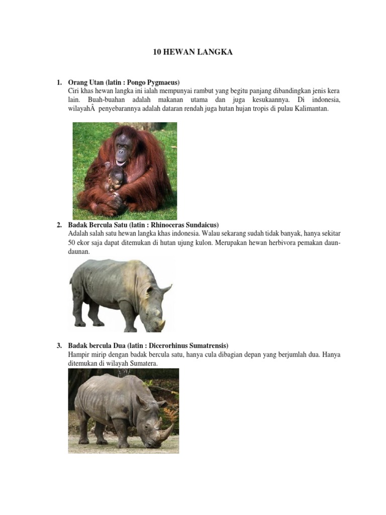 10 Hewan Langka