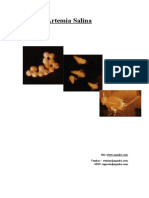 Manual Artemias Salina Completo 1 PDF
