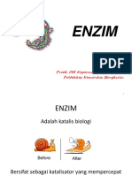 Enzim