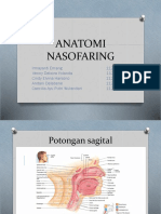 Anatomi Nasofaring