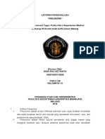Laporan Pendahuluan Pneumonia