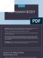 The Human Body: A Guide to Anatomy and Physiology