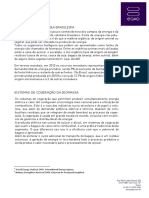 case-biomassa.pdf
