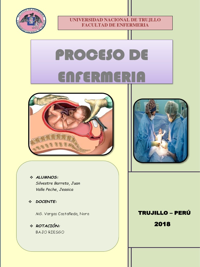 PAE Embarazo Segundo Trimestre | La leche materna | Parto | Prueba