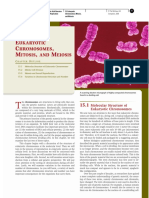 15_Eukaryotic_Chromosomes_Mitosis_and_Meiosis.pdf