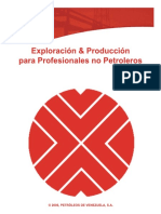 PDVSA - Exploración & Producción para Profesionales No Petroleros PDF