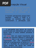 Percepção Visual