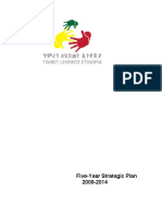 TLH Strategic Plan 2009 - 2014-1 PDF