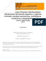 Bambues Del NEA PDF