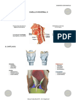 Cuello Visceral II