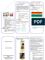 Seguridad Industrial MODELO TRÍPTICO