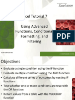 Advanced Excel Functions, Formatting, and Filtering