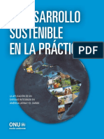 Desarrollo Sostenible en la Práctica.pdf
