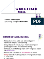 Metabolisme Sel