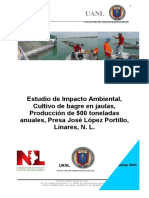 Estudio de Impacto Ambiental Cerro Prieto PDF