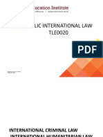 PUBLIC INTERNATIONAL LAW DOCUMENT EXAMINES INTERNATIONAL CRIMINAL LAW