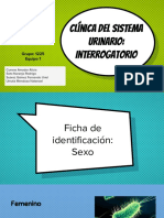 Interrogatorio Urinario PDF