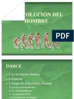 Evolucion Humana