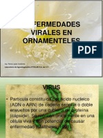 VIRUS EN ORNAMENTELES.ppt