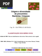 Origem e Diversidade de Procariotos e Archeas