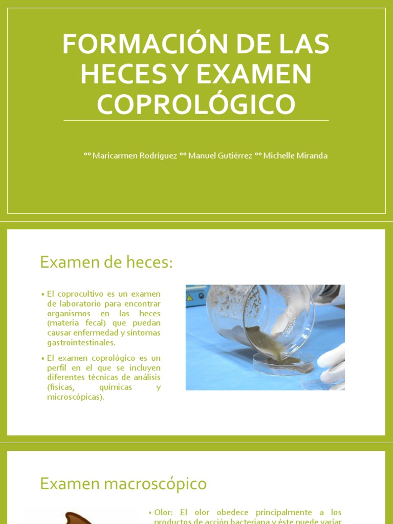 Examen Coprológico: Guía Completa | PDF | Heces | Tinción