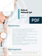 IgA Nephropathy Referat