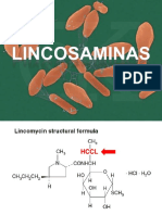 Lincosaminas