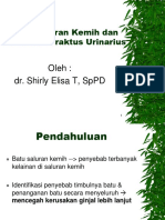 Batu Sal Kemih - Shirly