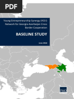 Young Entrepreneurship Synergy Network for Georgia-Azerbaijan Cross Border Cooperation_ BASELINE STUDY