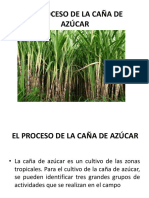 PPTs Caña de Azucar