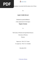 Dissertation PDF